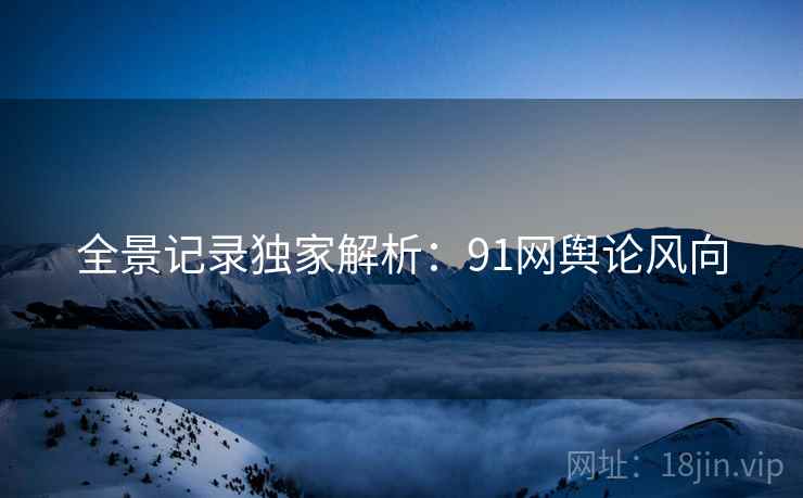 全景记录独家解析：91网舆论风向  第2张